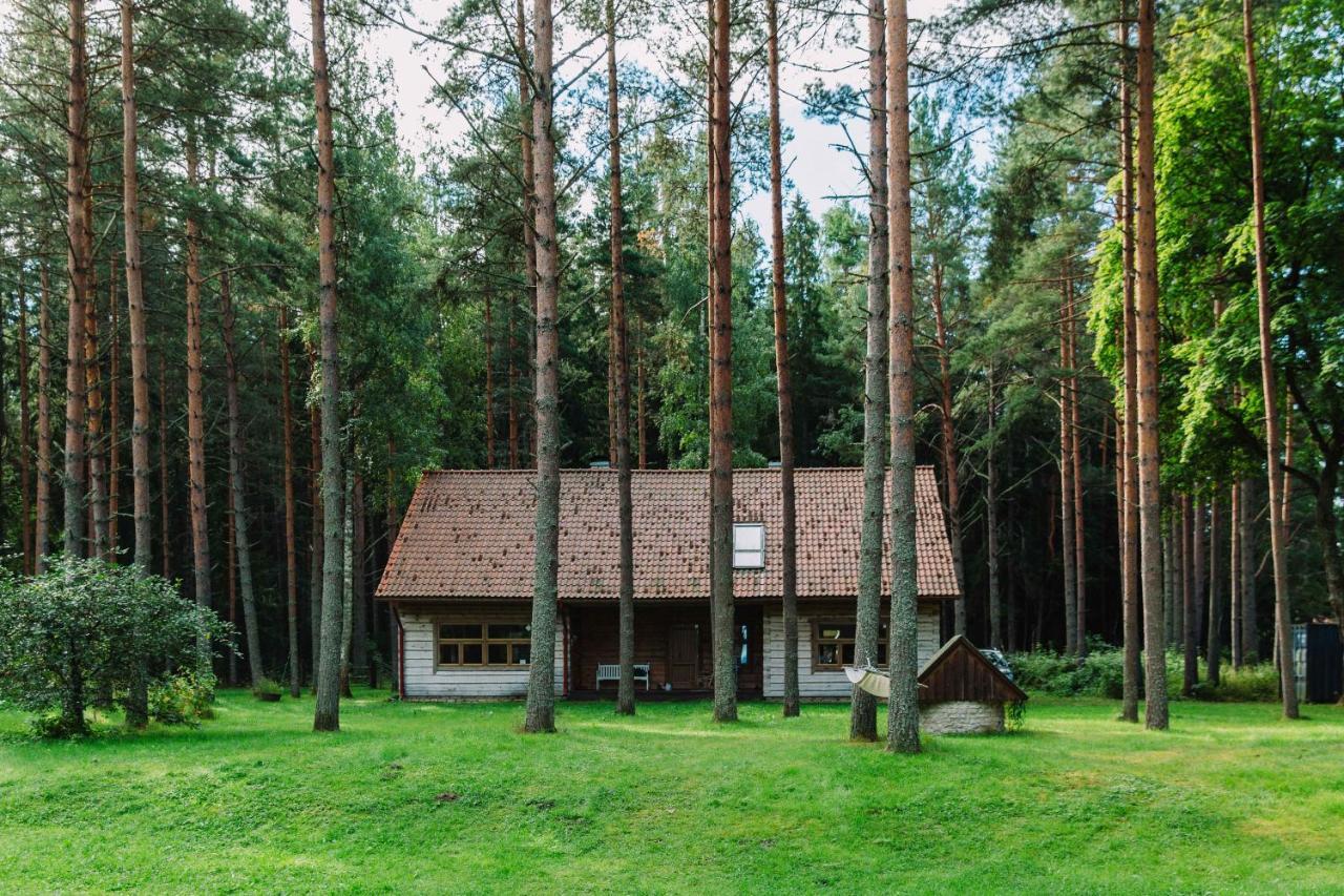 Ruudu Talu Villa Eru Dış mekan fotoğraf